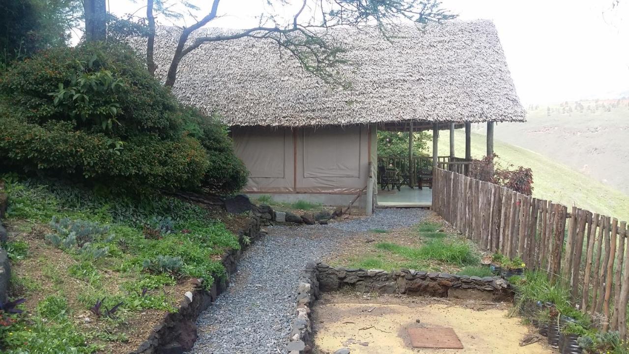 Maili Saba Camp Lodge *