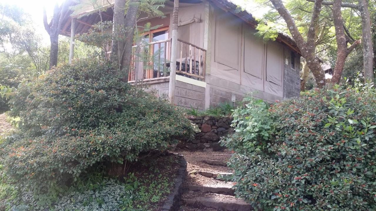 Maili Saba Camp Nakuru