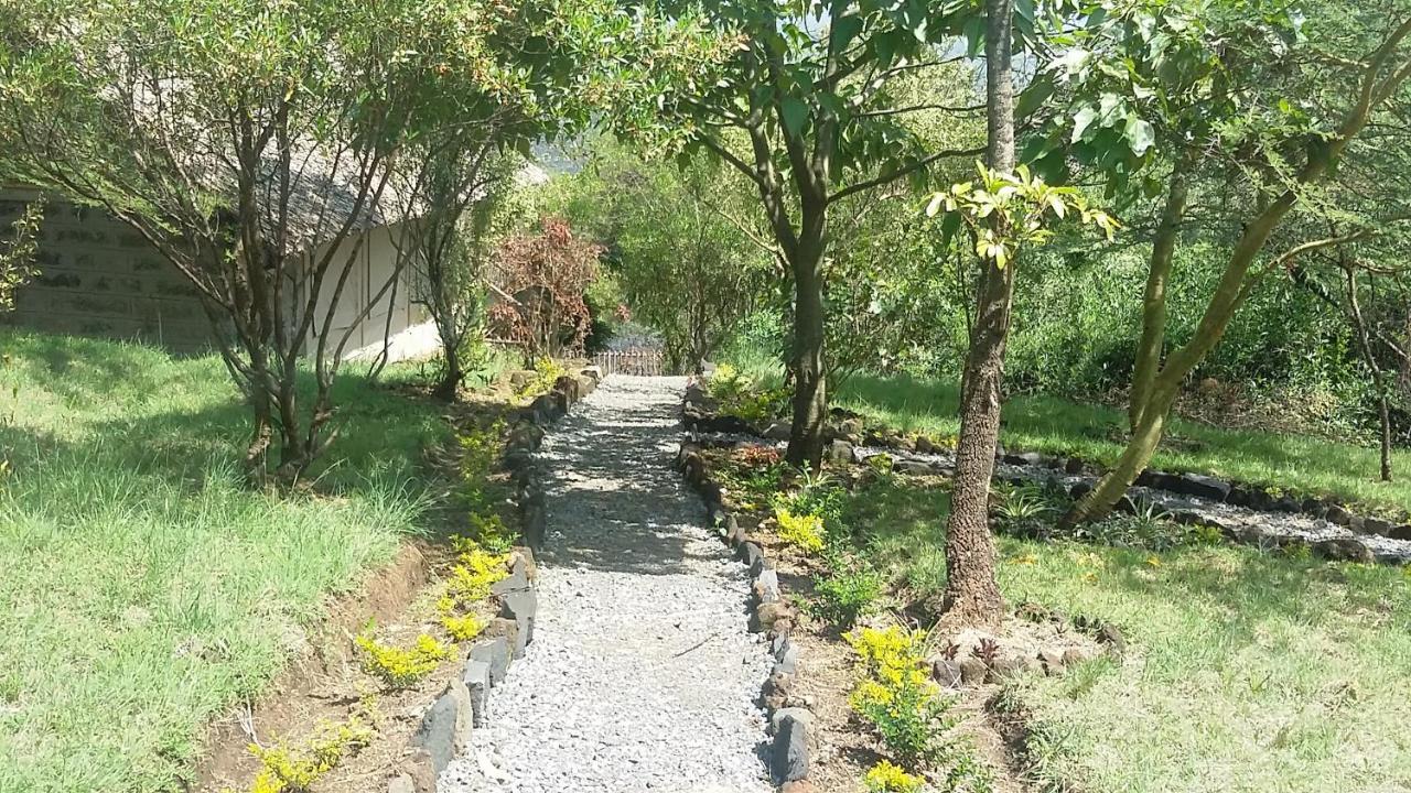 Maili Saba Camp Lodge *